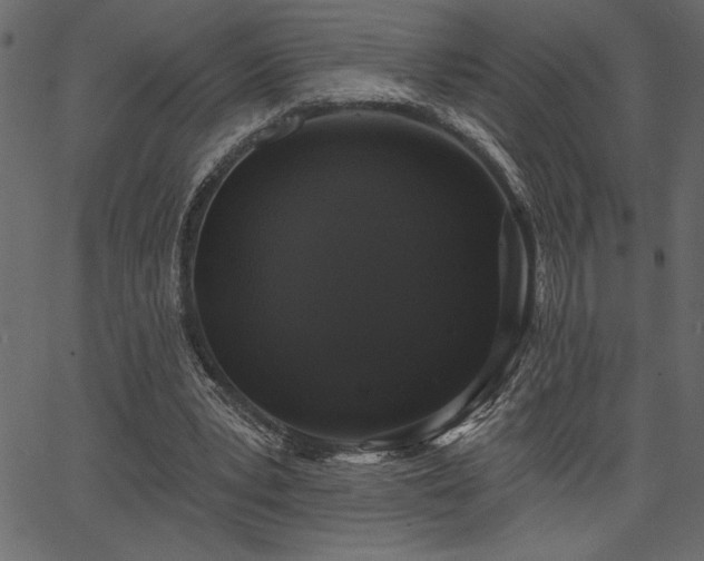 X0000067390391200603311304