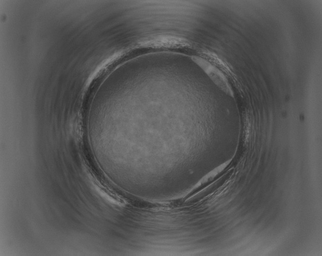 X0000067390392200603311304