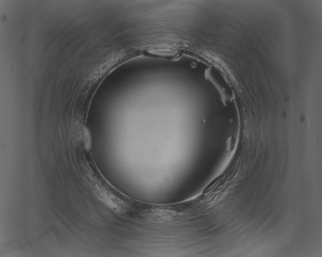 X0000067390393200603311304