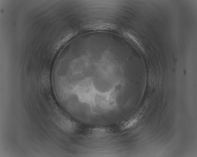 X0000067390394200603311304