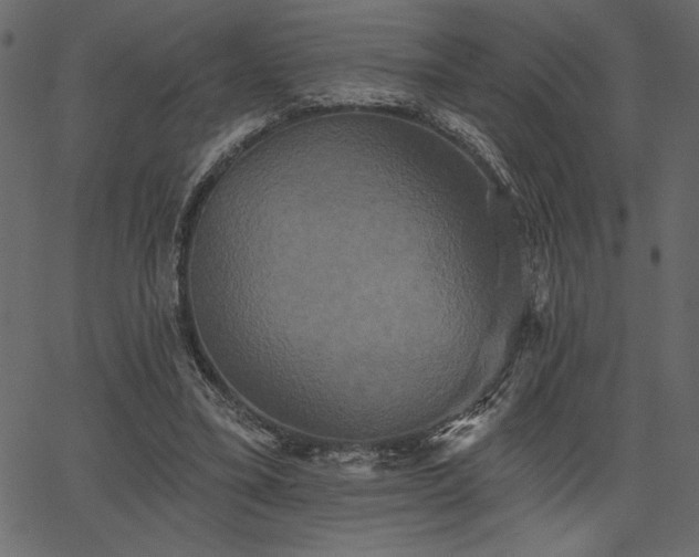 X0000067390395200603311304