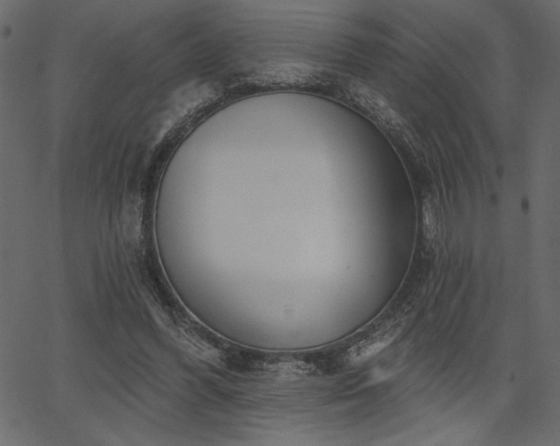 X0000067390396200603311304