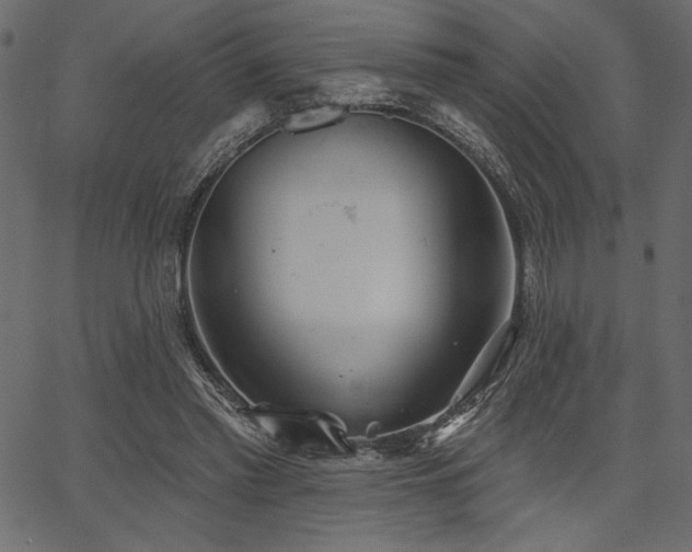 X0000067390397200603311304