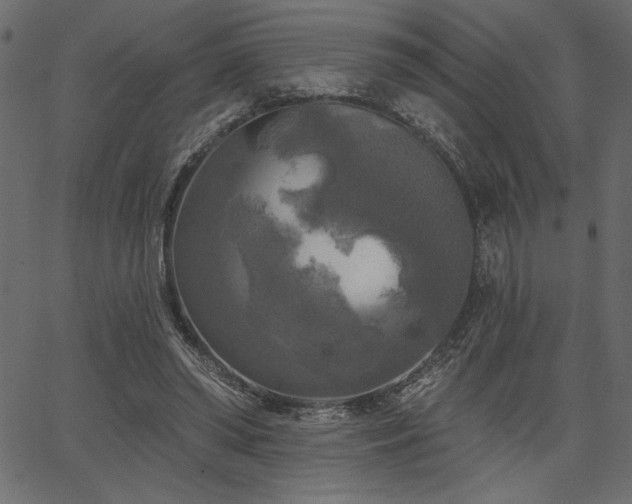 X0000067390398200603311304