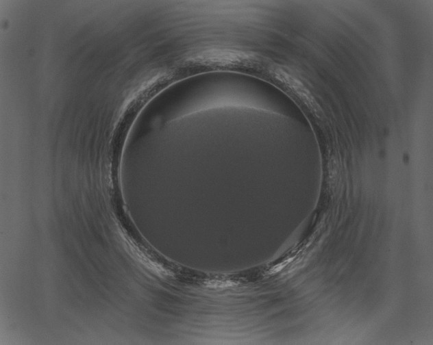 X0000067390399200603311304