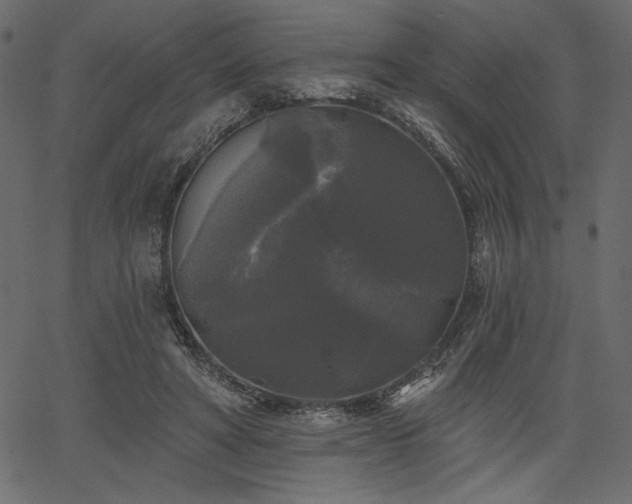 X0000067390402200603311304