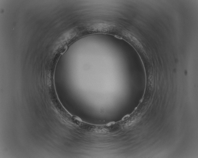 X0000067390403200603311304