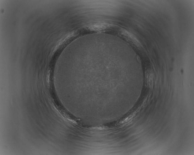 X0000067390404200603311304