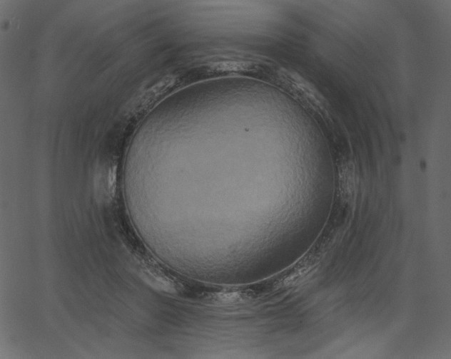 X0000067390406200603311304