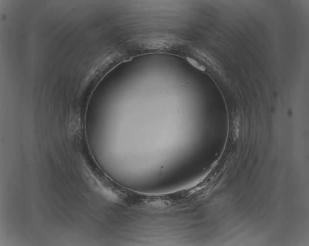 X0000067390407200603311304