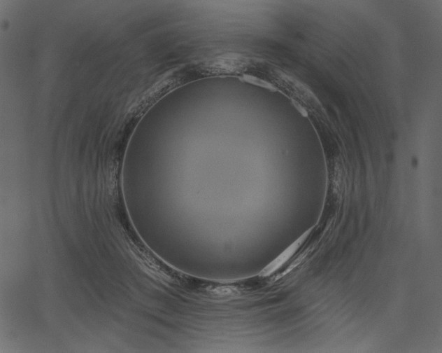 X0000067390409200603311304