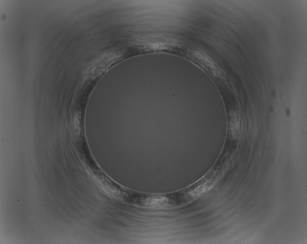 X0000067390410200603311304