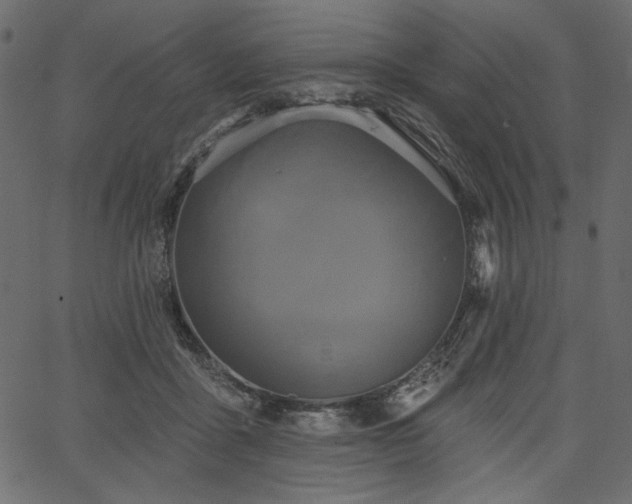 X0000067390411200603311304