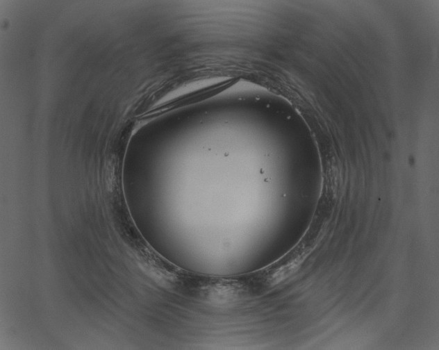 X0000067390412200603311304