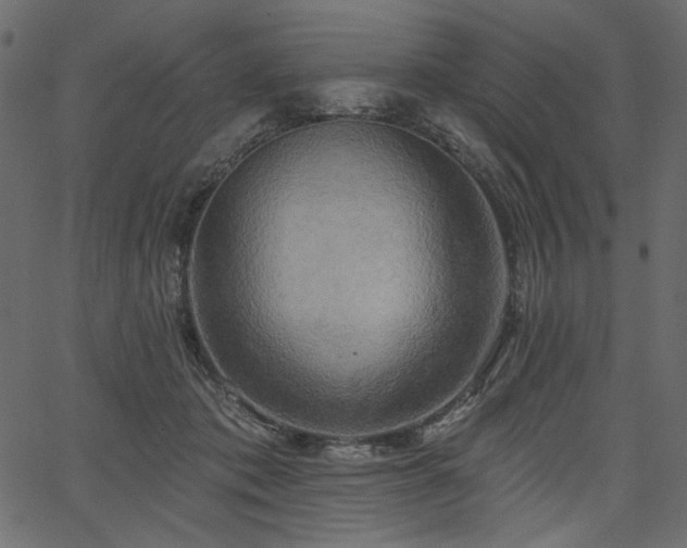 X0000067390413200603311304