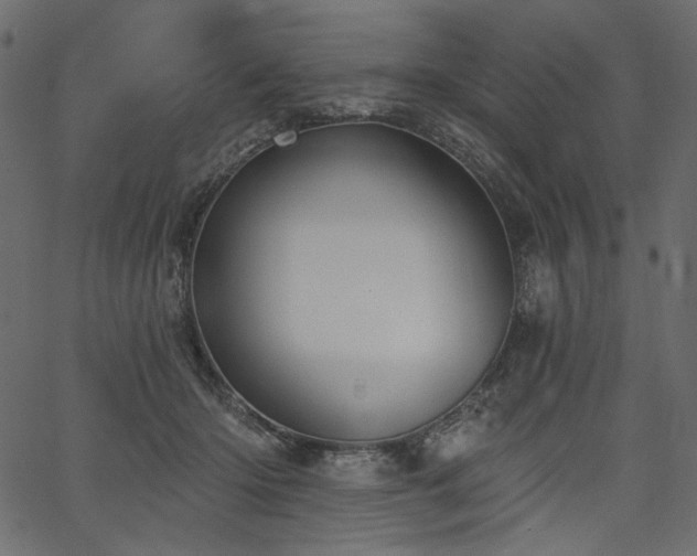 X0000067390414200603311304