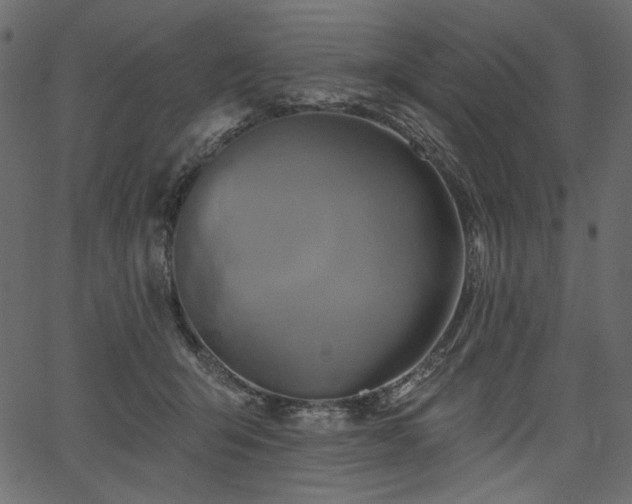 X0000067390415200603311304