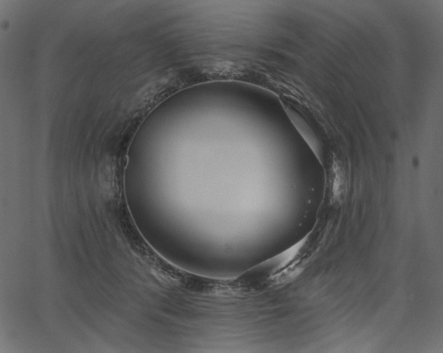 X0000067390416200603311304