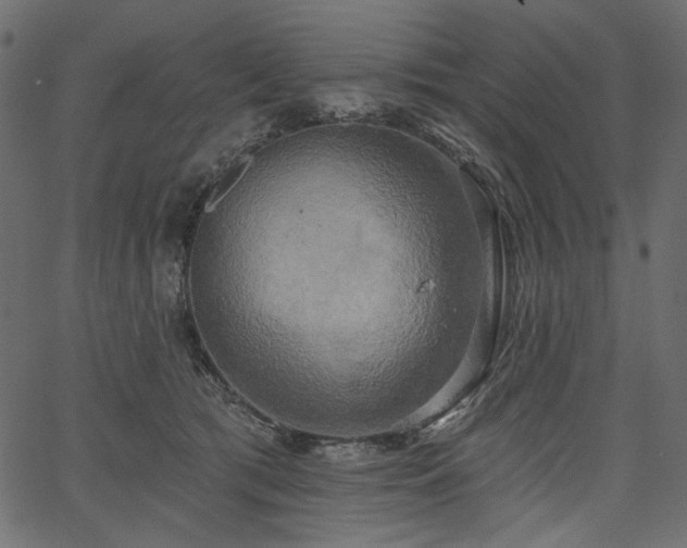 X0000067390417200603311304