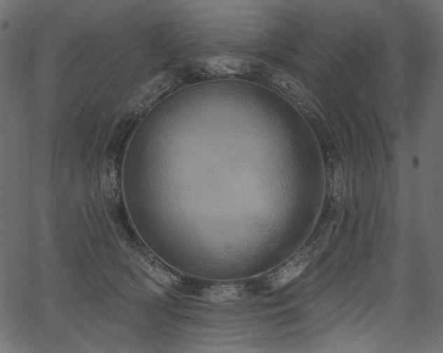 X0000067390418200603311304