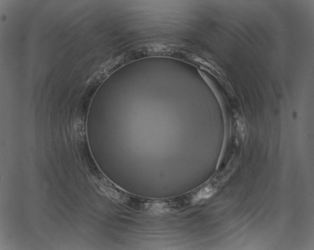 X0000067390419200603311304