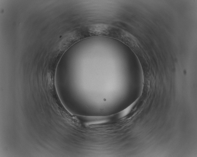 X0000067390420200603311304