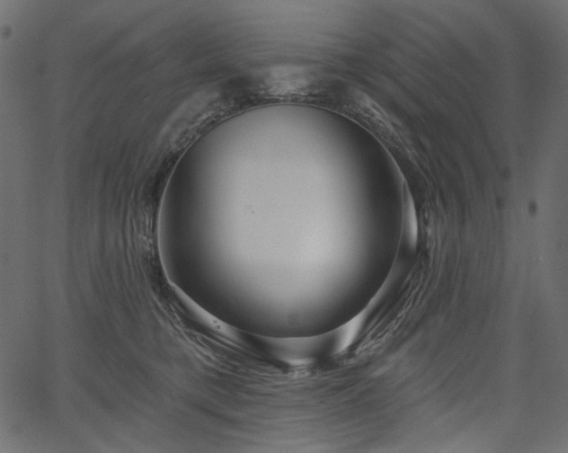 X0000067390421200603311304