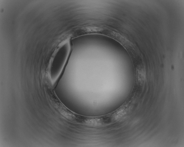 X0000067390422200603311304