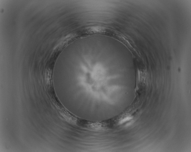 X0000067390423200603311304