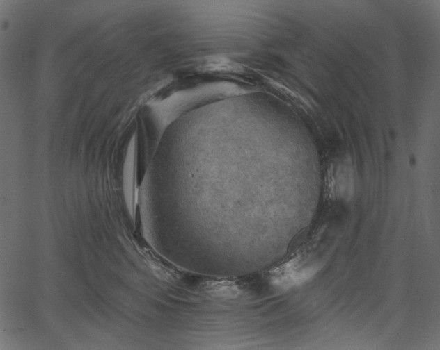 X0000067390424200603311304