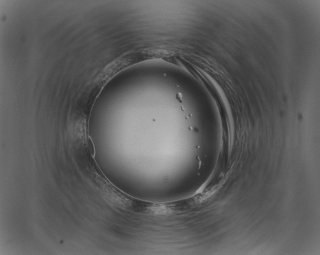 X0000067390425200603311304