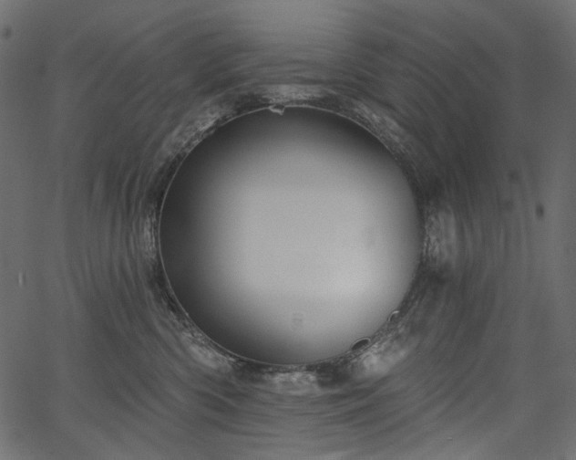 X0000067390426200603311304