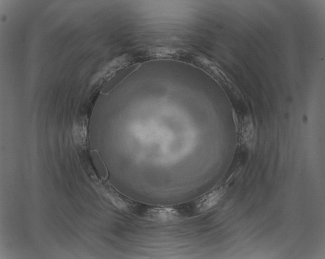 X0000067390427200603311304