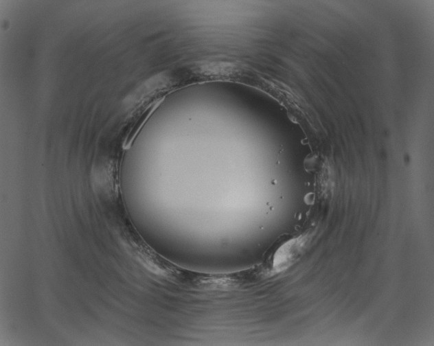 X0000067390428200603311304