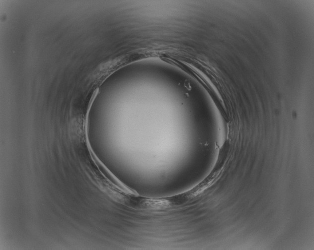 X0000067390429200603311304