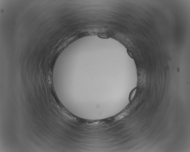 X0000067390430200603311304