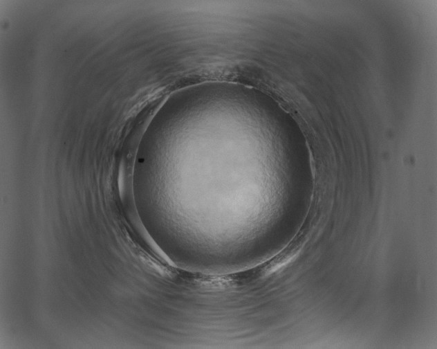 X0000067390432200603311303