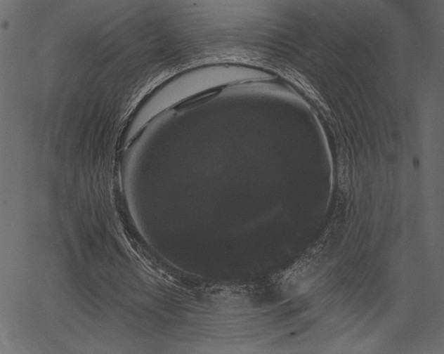 X0000067390434200603311303