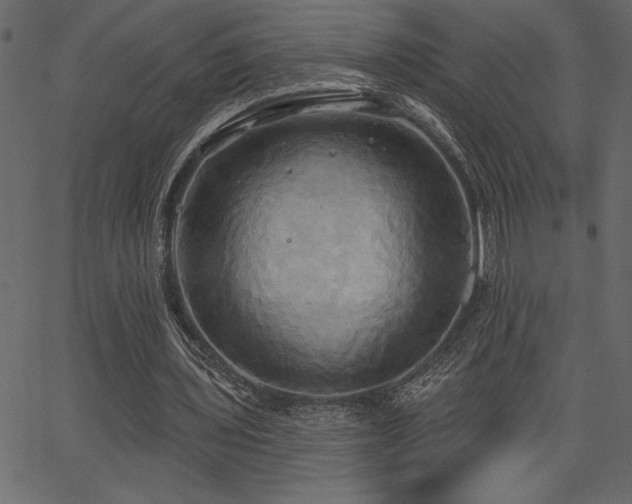 X0000067390435200603311303