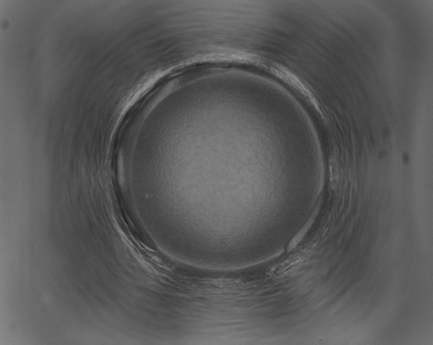 X0000067390436200603311303