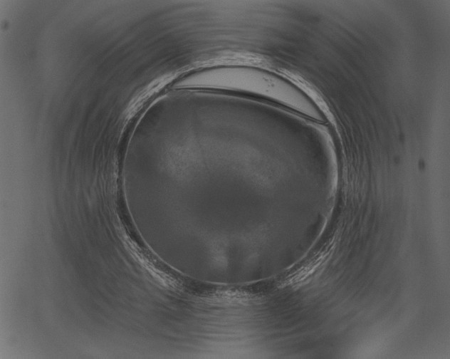 X0000067390437200603311303