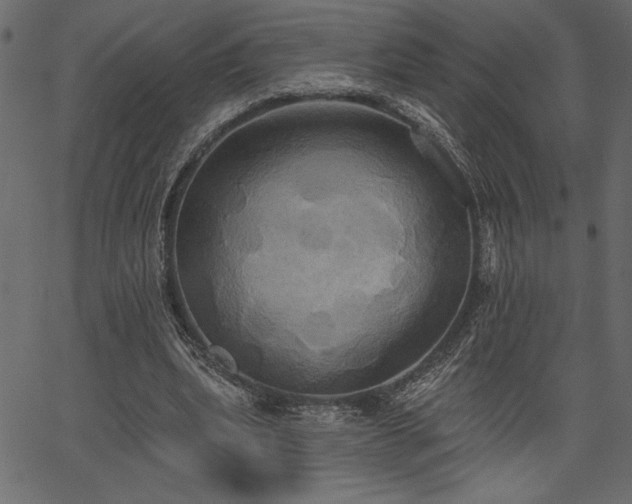 X0000067390439200603311303