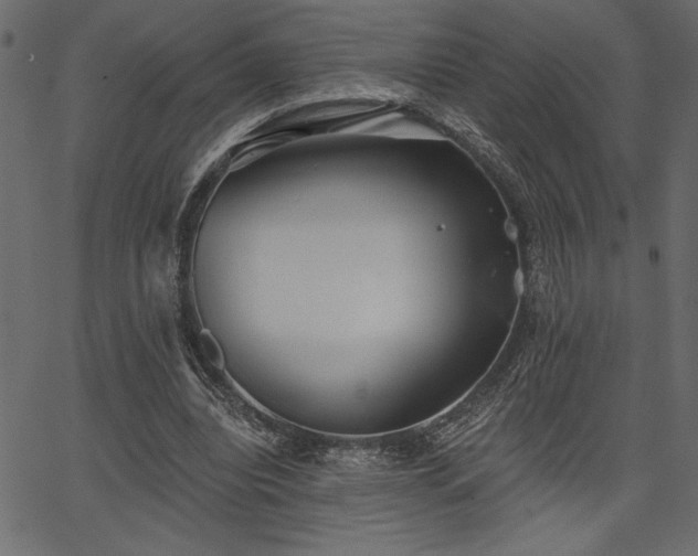 X0000067390440200603311303