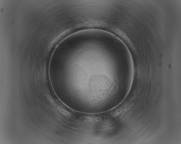 X0000067390442200603311303