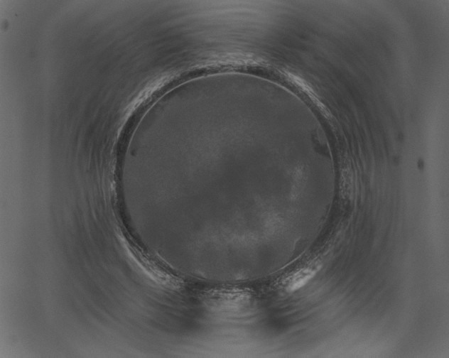 X0000067390443200603311303