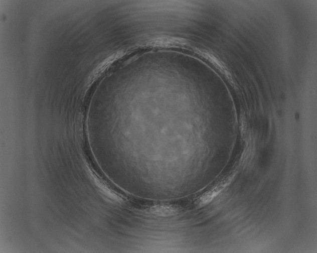 X0000067390445200603311303