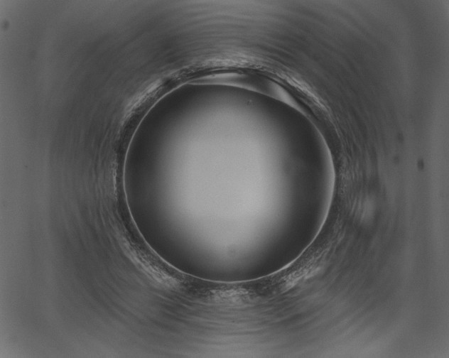 X0000067390446200603311303