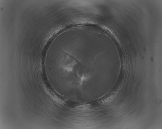 X0000067390447200603311303