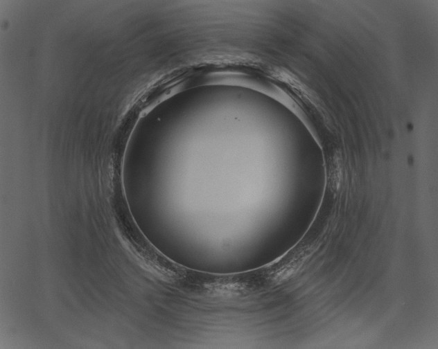 X0000067390448200603311303