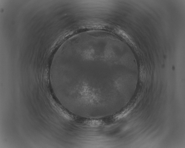 X0000067390449200603311303